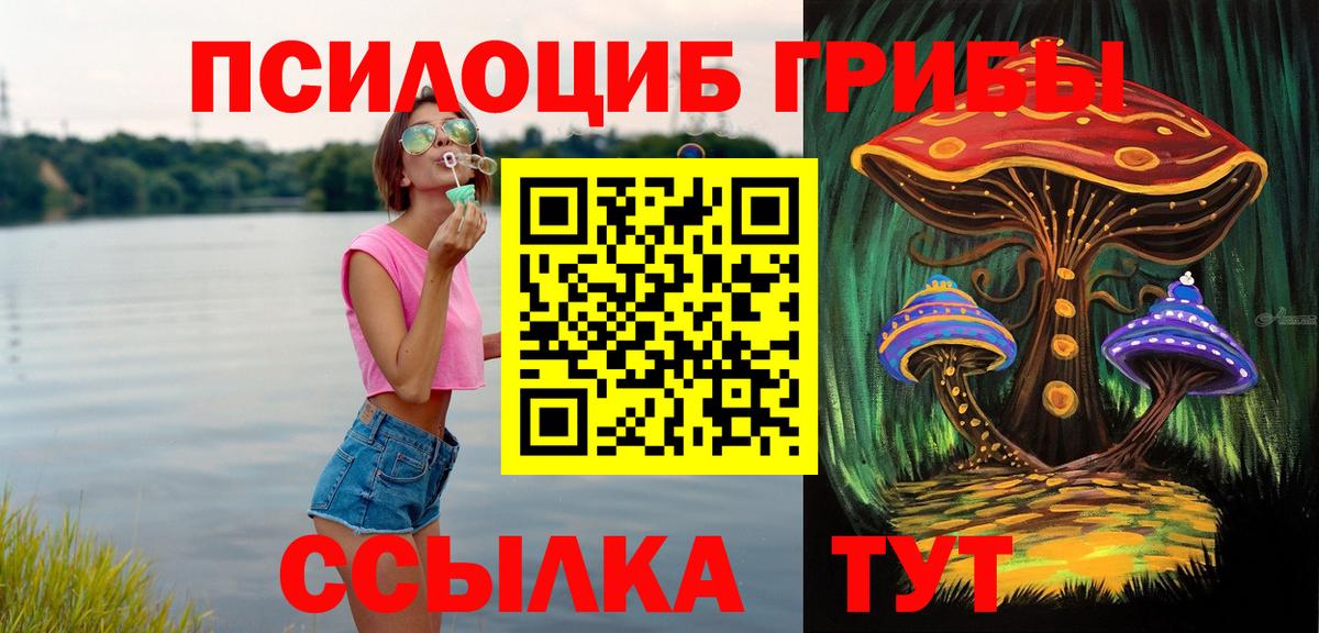 Добрянка  Галлюциногенные грибы Psilocybine cubensis  Вход с VPN 